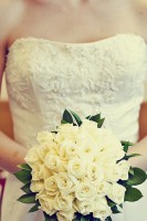 /album/hoa-c%c6%b0%e1%bb%9bi-c%e1%ba%a7m-tay/a1-25-jpg/